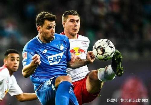 德甲 霍芬海姆VS法兰克福专家最新比分预测！